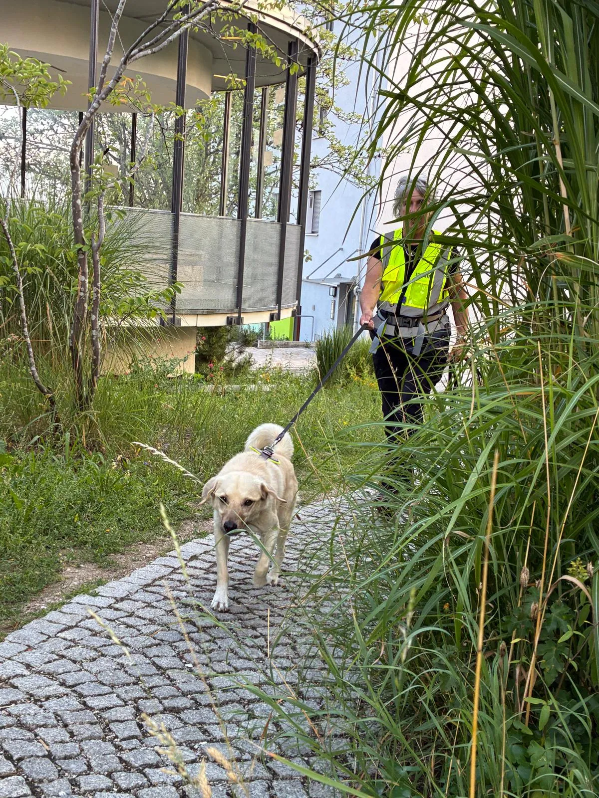 Mobiles Hundetraining Sylvia Lindner - Training und Beratung